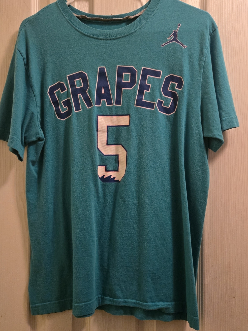 Jordan Teal Graphic 'GRAPES' Short Sleeve Tee with Number 5